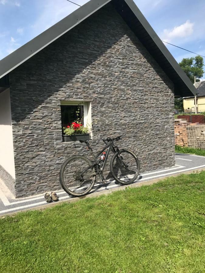 Appartement Dom Nad Kwisa à Świeradów-Zdrój Extérieur photo